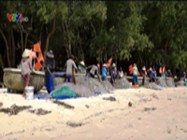 Nét độc đáo của làng chài cá trích, Phú Quốc